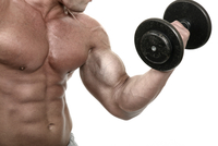 Hochintensitätstraining ist eine sehr wirksame und effektive Methode um mehr Kraft und mehr Musulatur aufzubauen. Fitnessstudio München heißt Fitnesstudio Arabellapark! Krafttraining in den Fitnessstudios in München hat viele Gesichter. Im Fitnessstudio Arabellapark in München Bogenhausen erklären wir Ihnen gerne, wie Sie effektiv trainieren um Ihre Ziele zu erreichen!